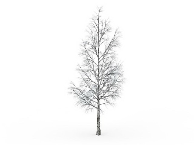 Winter birch tree 3d rendering