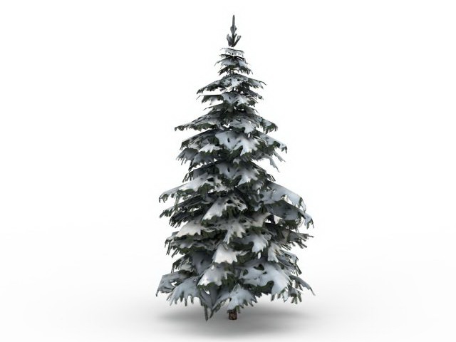Winter snow spruce tree 3d rendering