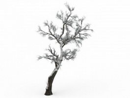 Snow covered hawthorn tree 3d model preview