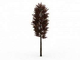 Scots pine tree 3d model preview