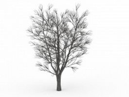 Bare elm tree in winter 3d model preview