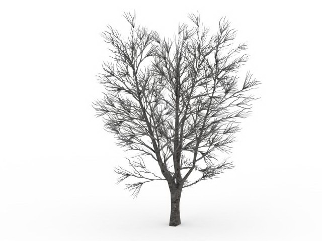 Bare elm tree in winter 3d rendering