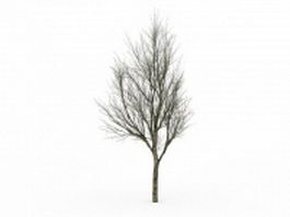Ash tree in winter 3d model preview