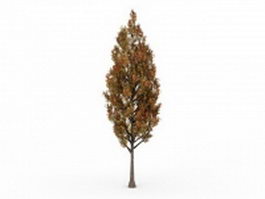 Poplar tree is fall colors 3d model preview