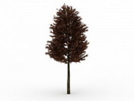Red pine tree 3d model preview