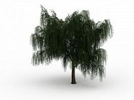 Salix willow tree 3d model preview