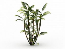 Butterfly palm plant 3d model preview