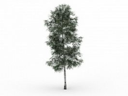 Chenmou elm tree 3d model preview