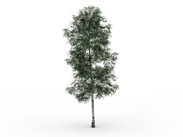 Chenmou elm tree 3d rendering