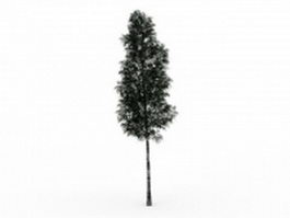 Multinerved elm tree 3d model preview