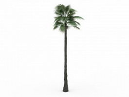 Petticoat palm tree 3d model preview