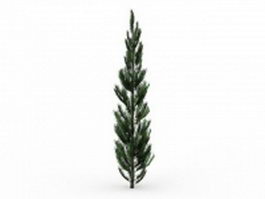 Sitka spruce tree 3d model preview