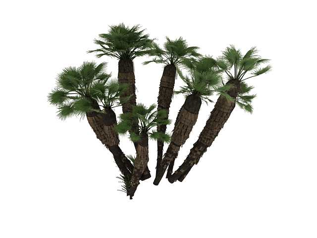 Mediterranean dwarf palm 3d rendering