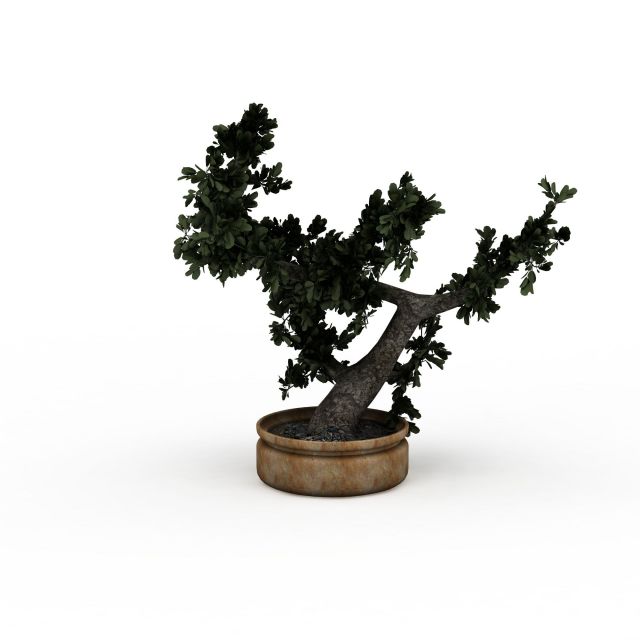 Bonsai tree 3d rendering