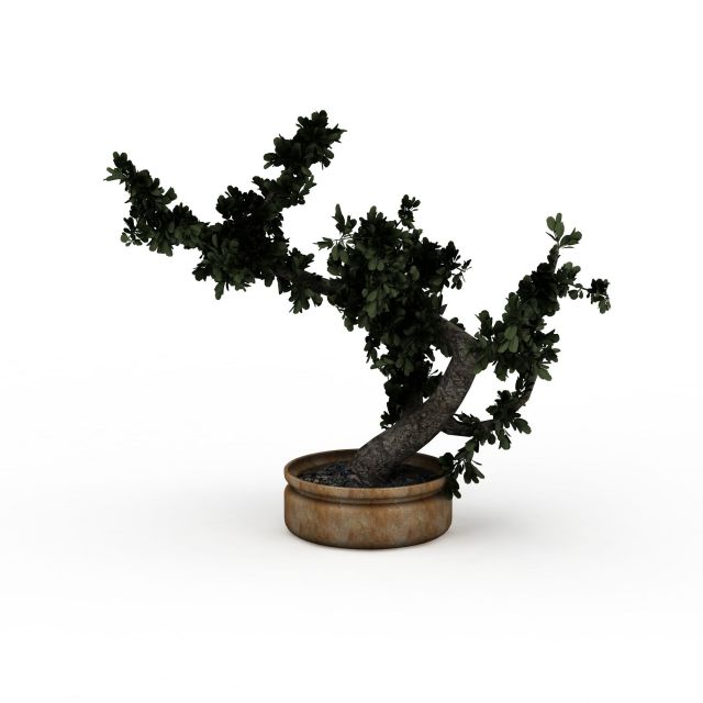 Bonsai tree 3d rendering