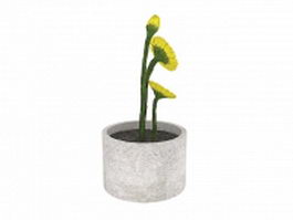 Potted yellow flower 3d model preview
