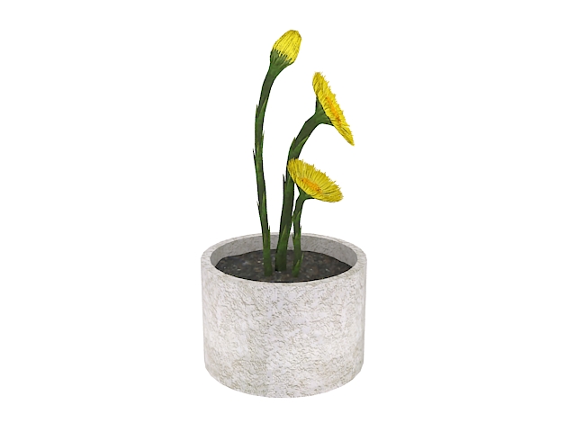 Potted yellow flower 3d rendering