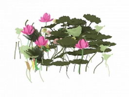 Lotus flowers and leaves 3d model preview