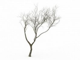 Bare tree 3d model preview