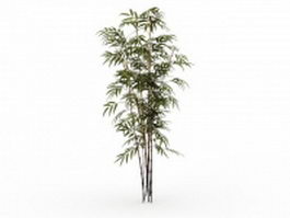 Bamboo plants 3d model preview