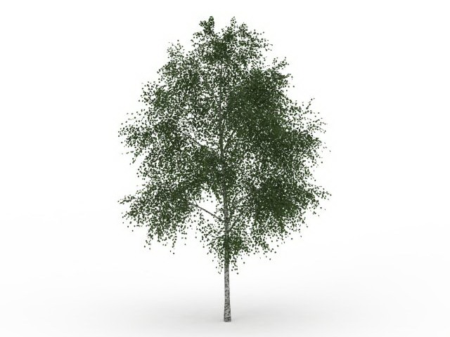 Oregon ash tree 3d rendering
