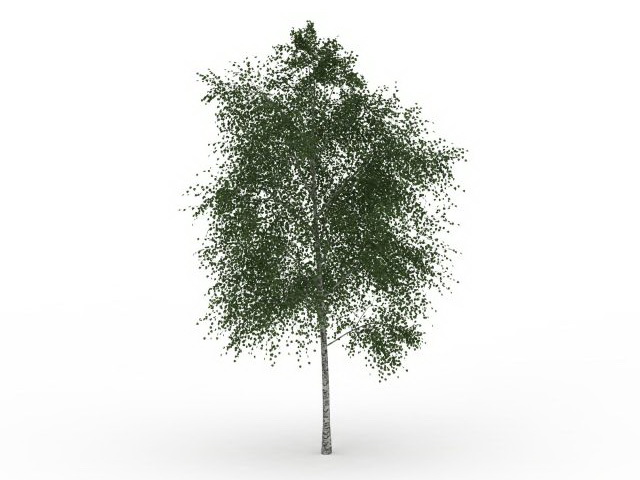 Oregon ash tree 3d rendering