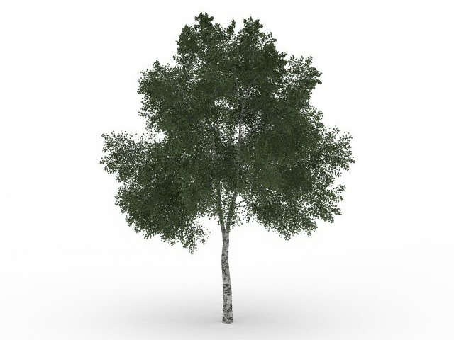 Mexican ash 3d rendering