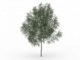 Texas ash tree 3d model preview