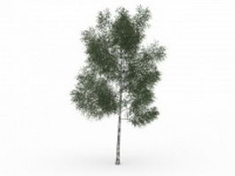 White ash tree 3d model preview