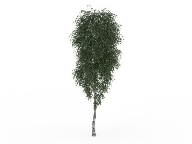 Small ash tree 3d rendering