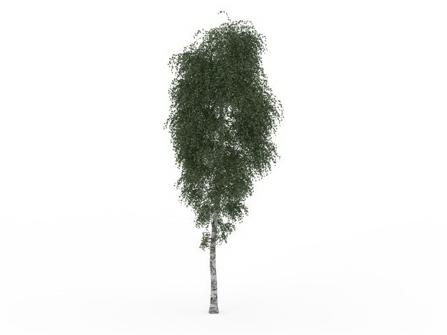 Small ash tree 3d rendering