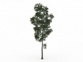 Small locust tree 3d model preview