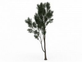 Small deciduous tree 3d model preview