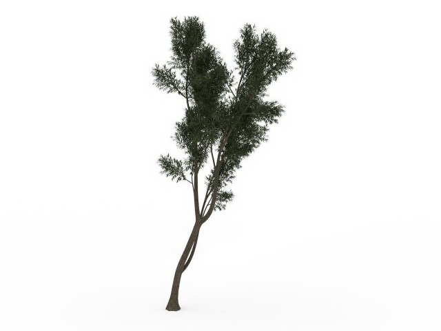 Small deciduous tree 3d rendering
