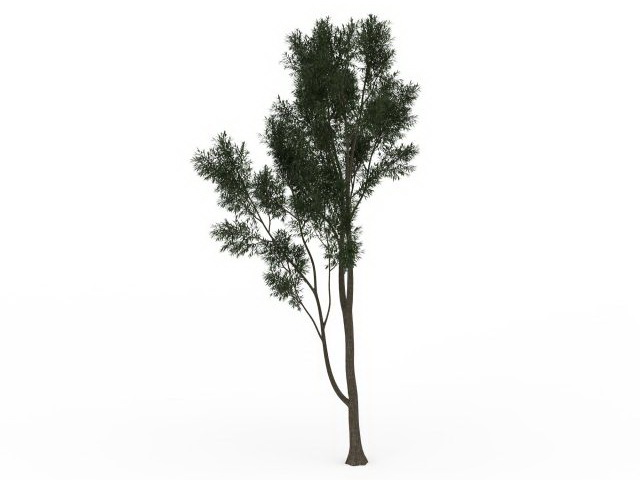 Small deciduous tree 3d rendering