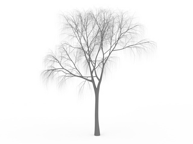 Winter tree 3d rendering