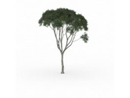 Small kapok tree 3d model preview
