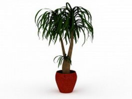 Bonsai plant in pot 3d model preview