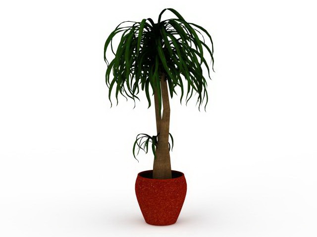Bonsai plant in pot 3d rendering