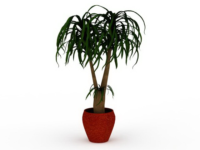 Bonsai plant in pot 3d rendering
