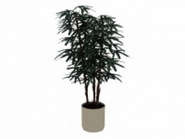 Potted bamboo plant 3d model preview