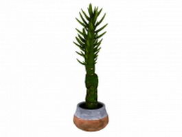 Potted bonsai succulent plants 3d model preview