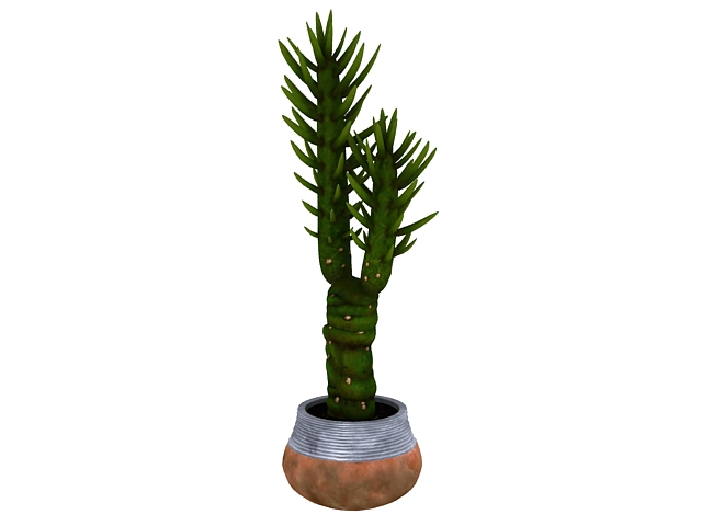 Potted bonsai succulent plants 3d rendering