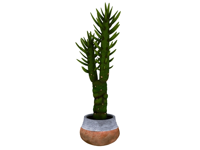 Potted bonsai succulent plants 3d rendering