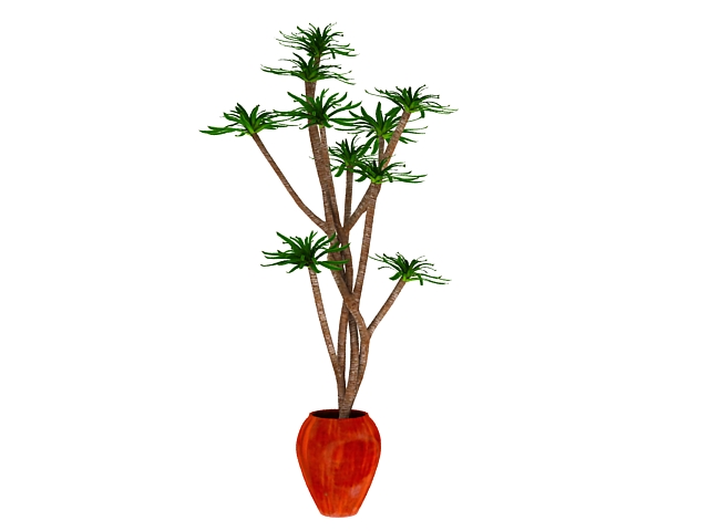 Potted trees for indoor 3d rendering
