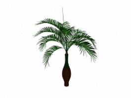 Bottle palm tree 3d model preview