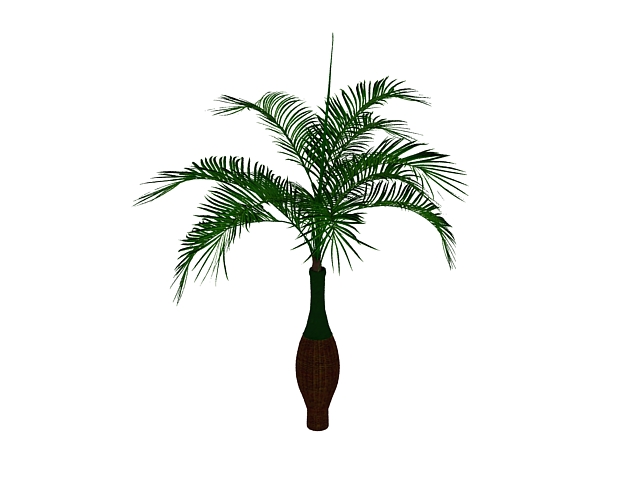Bottle palm tree 3d rendering