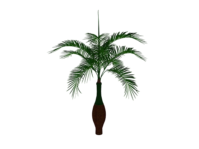 Bottle palm tree 3d rendering