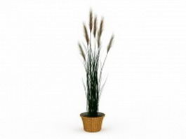 Potted reed grass 3d model preview
