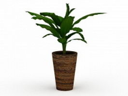 Potted broad leaved plant 3d model preview